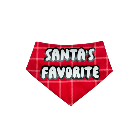 Santa's Favorite