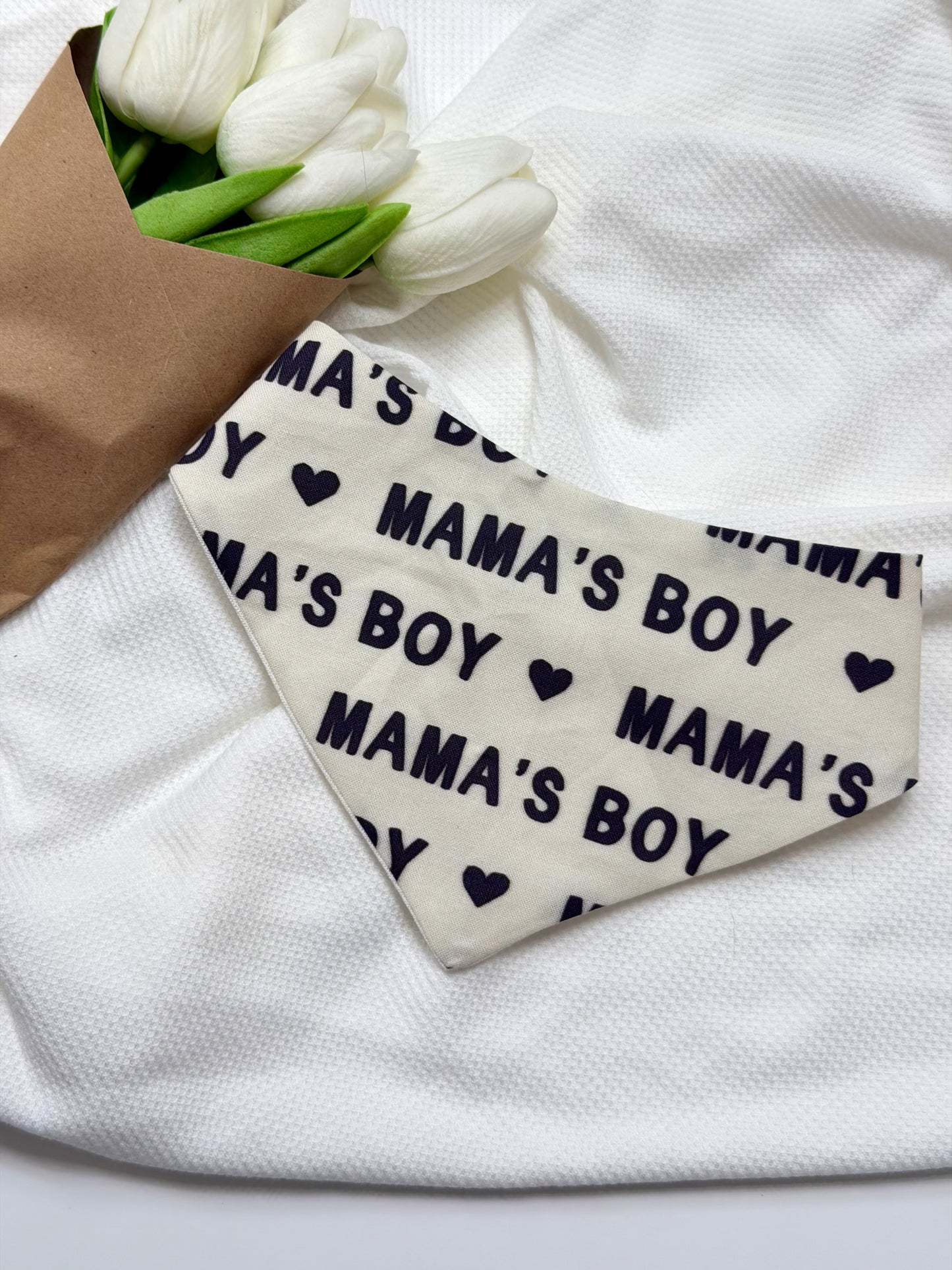 Mama's Boy