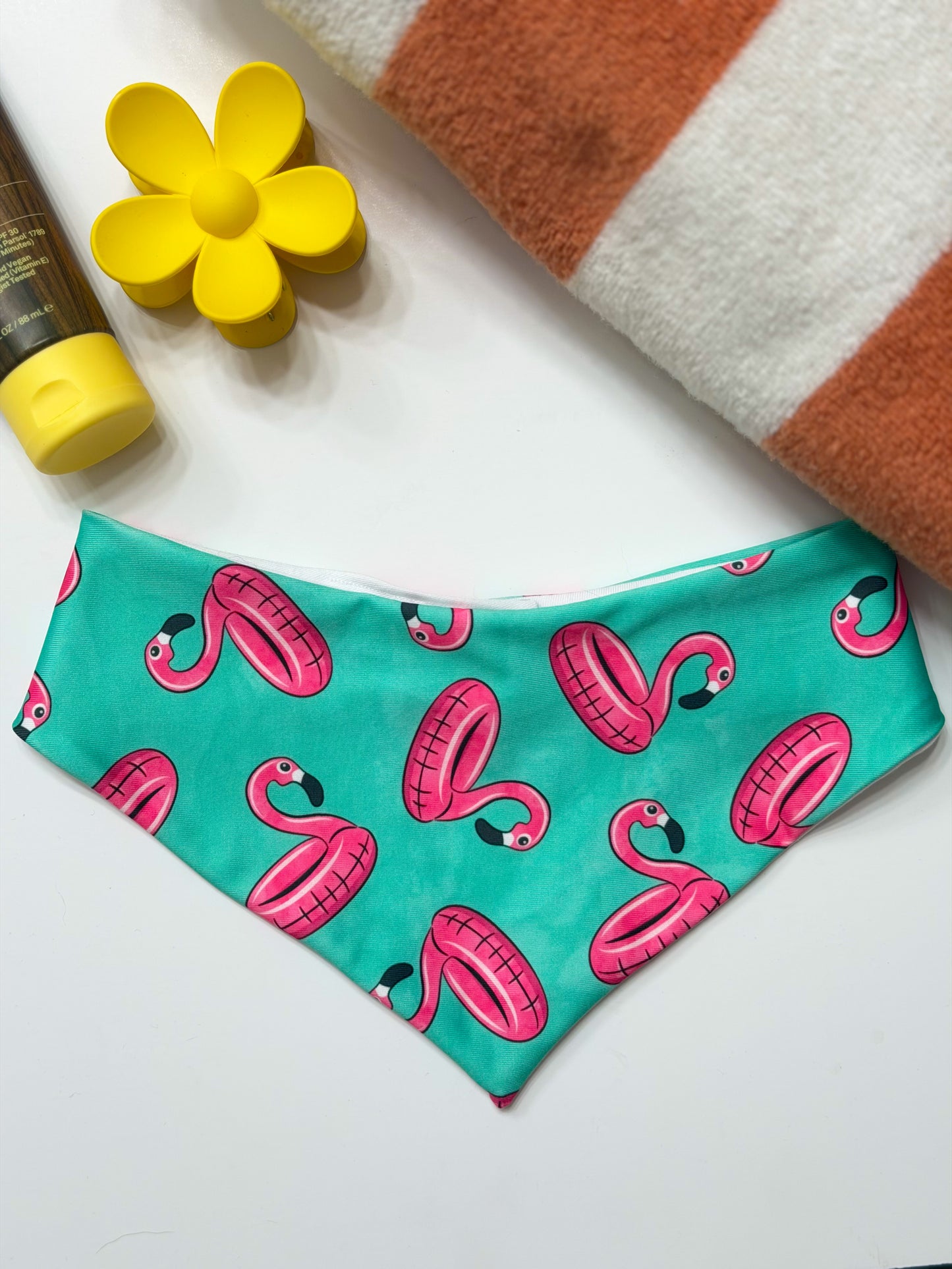 Flamingo Floaties